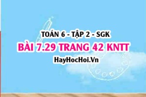 Bài 7.29 trang 42 Toán 6 Tập 2 Kết nối tri thức